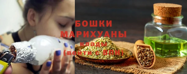 PSILOCYBIN Абаза